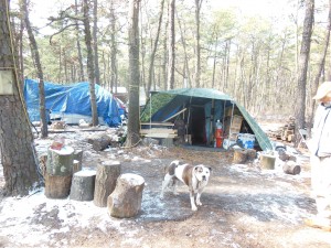 Tent City a barking dog. does it know about tent city?